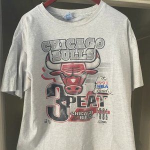 vintage NBA chicago Bulls tshirt basketball Vtg 3-peat 90s Grey Salem